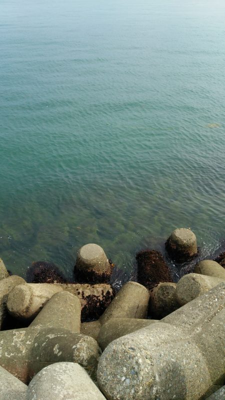 台風後の海の具合を見に♪