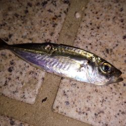 3人寄ればいつも,..