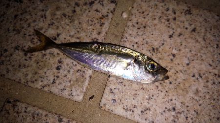 3人寄ればいつも,..