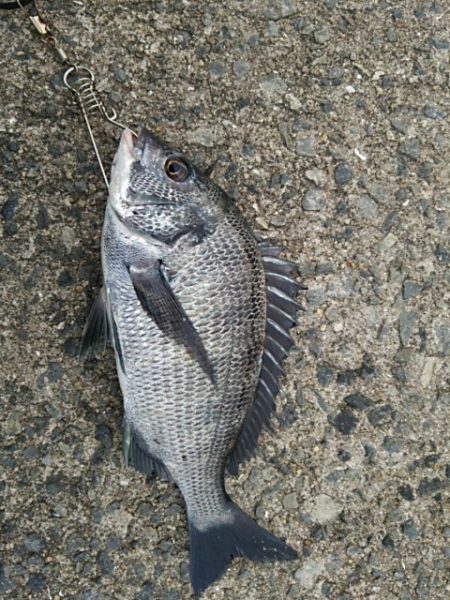 雨上がりは厳しいです♪