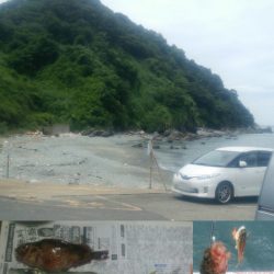 下津ピアーランド