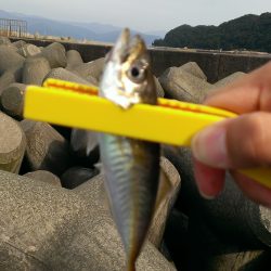 久しぶりの釣行