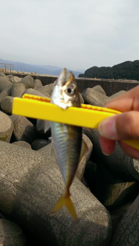久しぶりの釣行