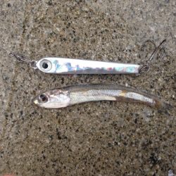 マッチ・ザ・ベイト