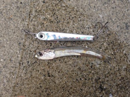 マッチ・ザ・ベイト