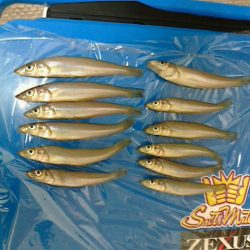 ２回目の投げ釣り