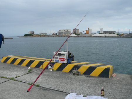 西淡・南淡釣査後志筑でピンギス釣り