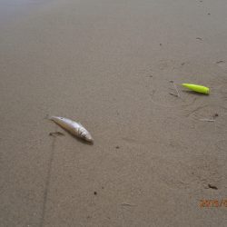 ファミリーチョイ投げ３