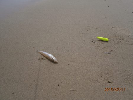 ファミリーチョイ投げ３