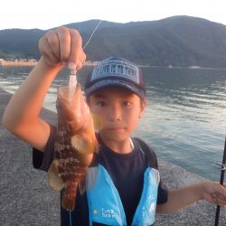 海水浴後に港でアコウ　24センチ