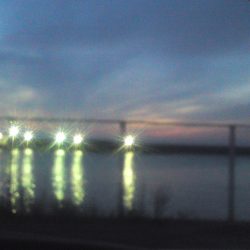 鯵の群れは未だ小さい？