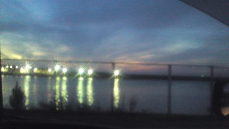 鯵の群れは未だ小さい？