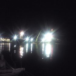 アジが去ったらメバルの出番