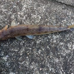 ひきはいいけど…