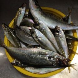 少しだけ楽しめました