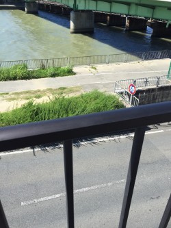 絶好調♪( ´▽｀)