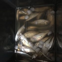 南港ATC近くの海沿いの公園