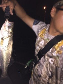 我慢できずにσ(^_^;)