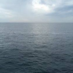 リベンジ！ショアジギング！