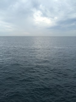 リベンジ！ショアジギング！