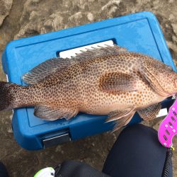 白浜周辺の地磯でショアジギング