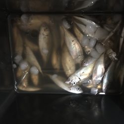 南港ATC近くの海沿いの公園