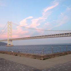 サビキで豆アジ