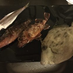 マイクロジギング