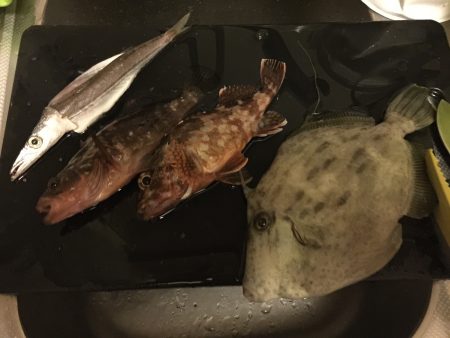 マイクロジギング