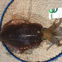 暑い中…よ〜頑張った