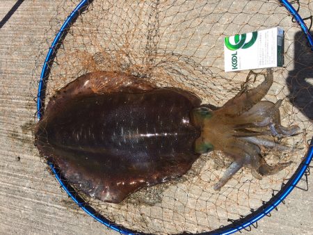 暑い中…よ〜頑張った