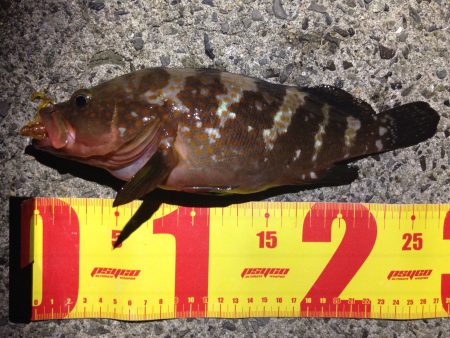 粘っても1匹しか釣れない！