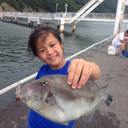 仲良し親子釣り紀行  40㎝のウマヅラハギ