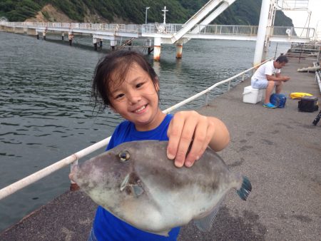 仲良し親子釣り紀行  40㎝のウマヅラハギ…