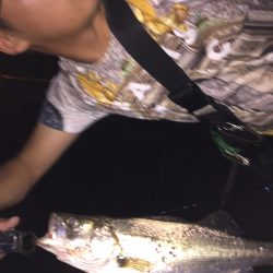 我慢できずにσ(^_^;)