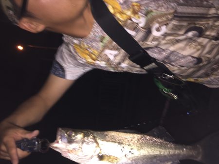 我慢できずにσ(^_^;)