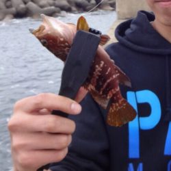 デイアジング！