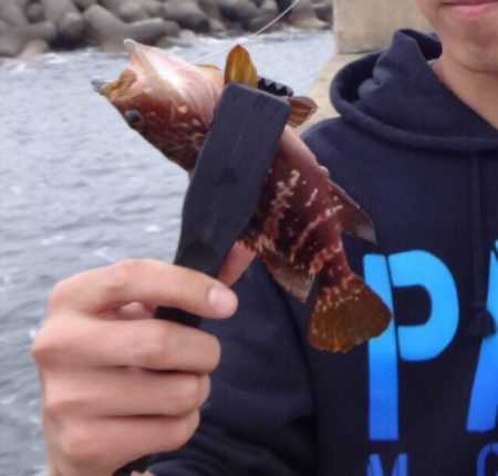 デイアジング！