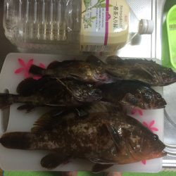 マイポイントで底ズル引きゲーム