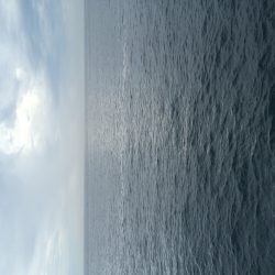 リベンジ！ショアジギング！