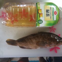 泉南をランガン