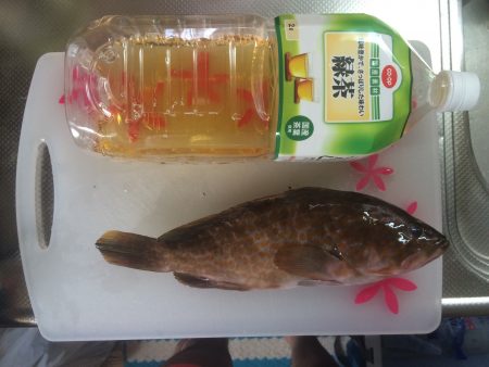 泉南をランガン