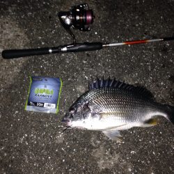 久しぶりの釣行*\\(^o^)/*