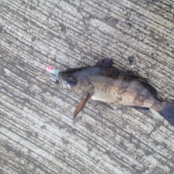 ちょこっとライトゲーム