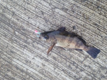 ちょこっとライトゲーム