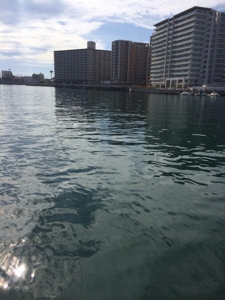 明石港で胴付釣り、チョイ投げ