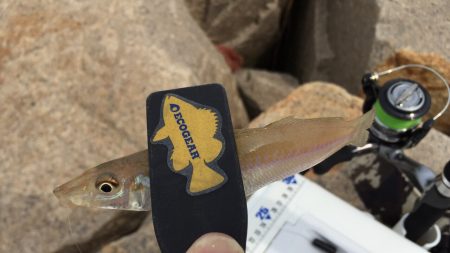 ちょい投げキスゲーム！