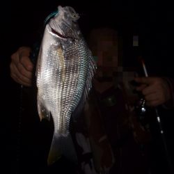 チニング〜*\\(^o^)/*