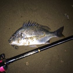 ワームでじっくりと狙うチニング