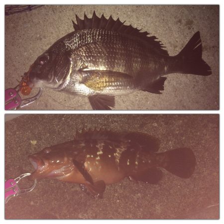 マイポイントでチニング